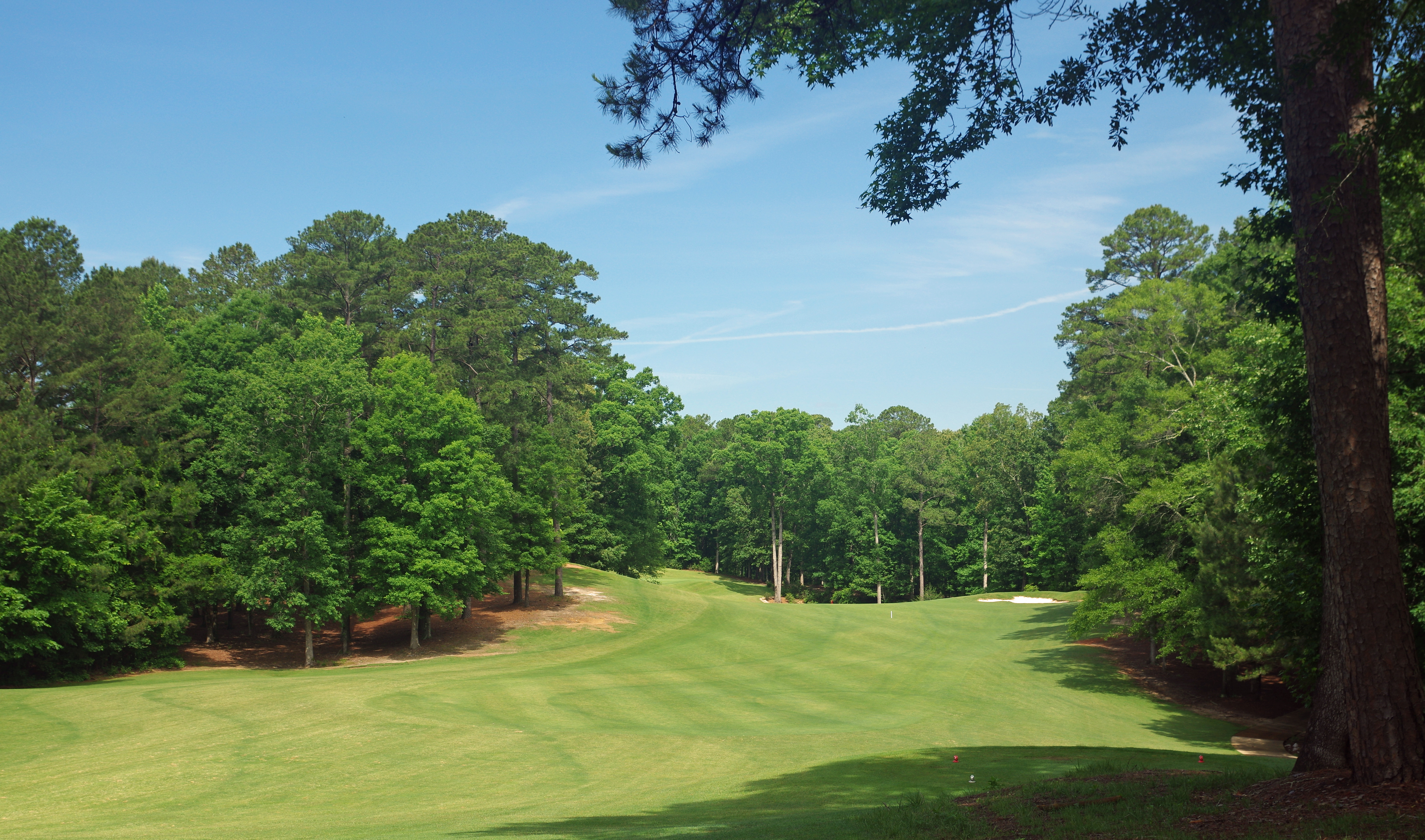 Dancing Rabbit Golf Club Azaleas Golf in Philadelphia, Mississippi