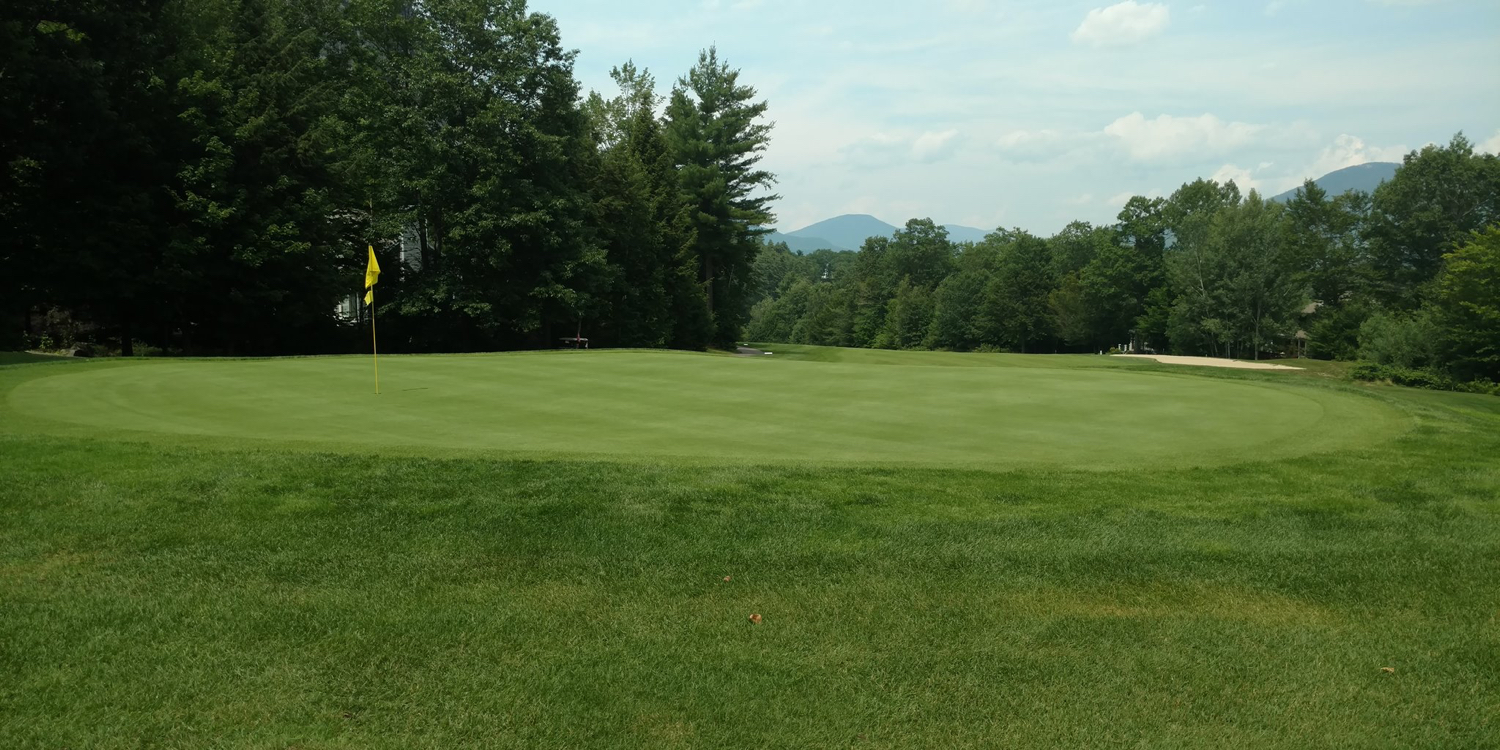 The White Mountain Hotel & Resort